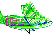 bvi advancing side